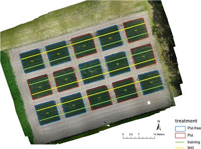 Early Detection of Stripe Rust in Winter Wheat Using Deep Residual Neural Networks